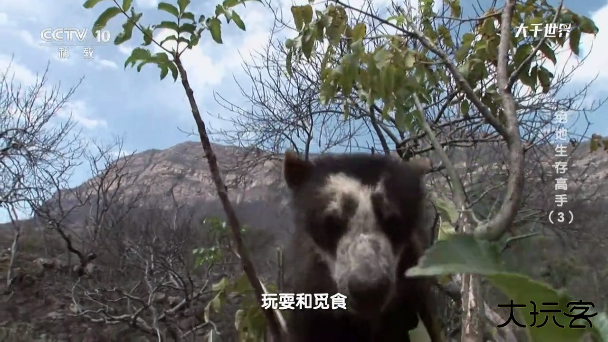 木雨电视TVapp官方版最新版下载