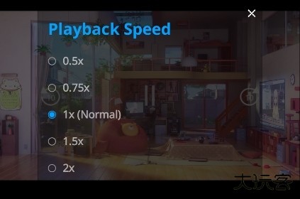 realplayer倍速播放