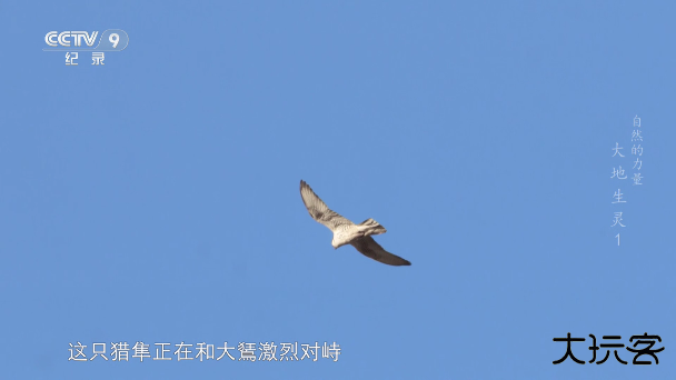 木雨电视TVapp官方版最新版下载