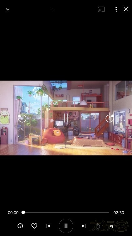 realplayer播放视频