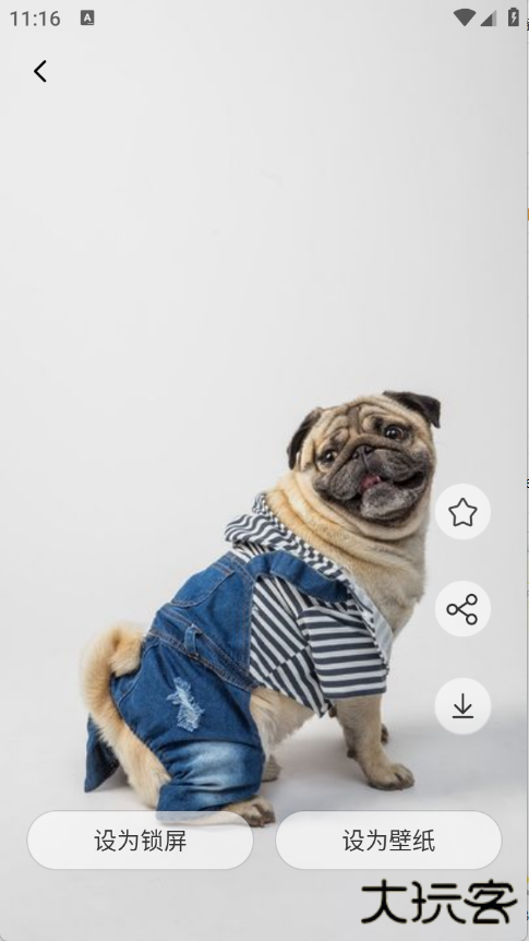 虫虫壁纸素材下载 v1.1