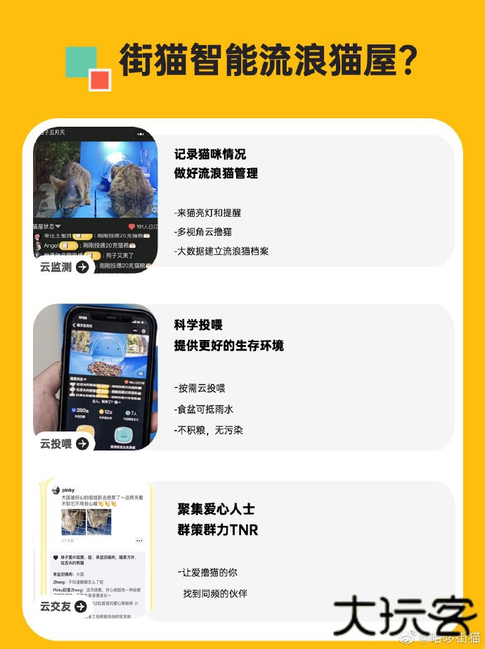 哈啰街猫下载 v1.24.0