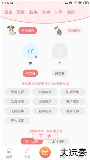 动物语言翻译器