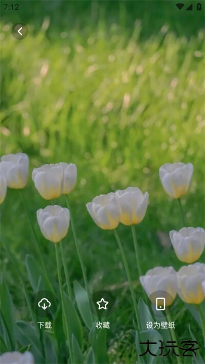 风铃壁纸app下载 v1.4