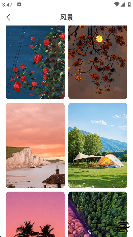 飞羽壁纸app手机版下载下载 v1.0.0