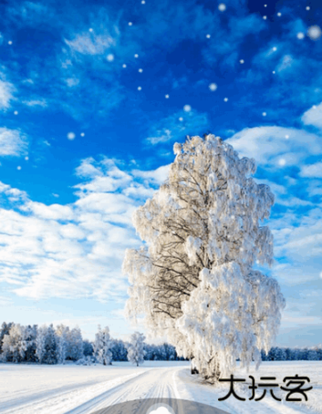 优美壁纸安卓版