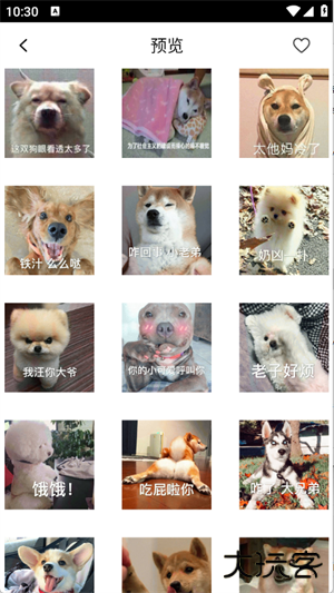 表情包合集软件下载 v1.3