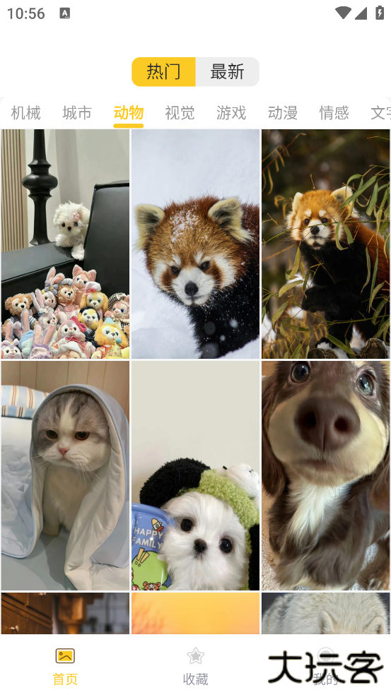 炫动次元壁纸下载 4