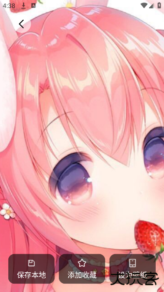 AniCh壁纸手机版