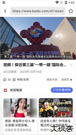 熊猫浏览器手机版