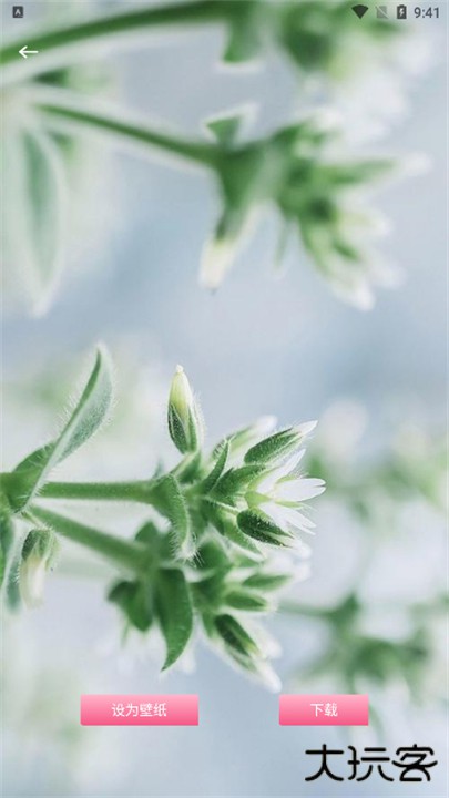 龙神壁纸手机版下载 v1.1