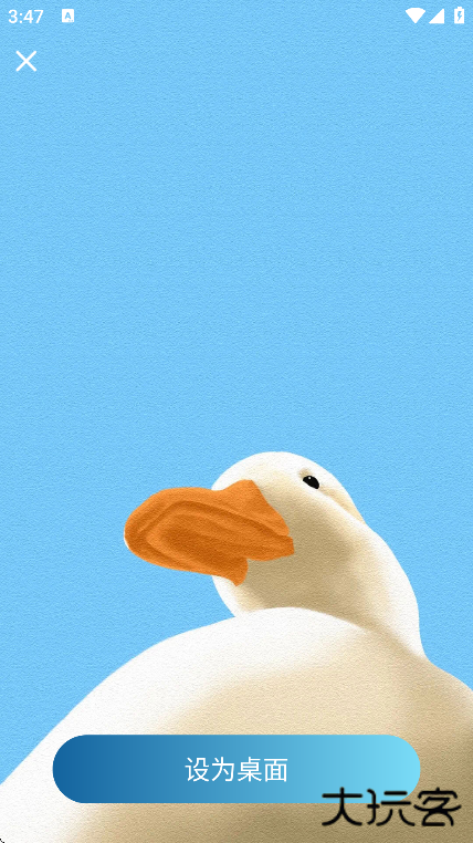 飞羽壁纸app手机版下载下载 v1.0.0