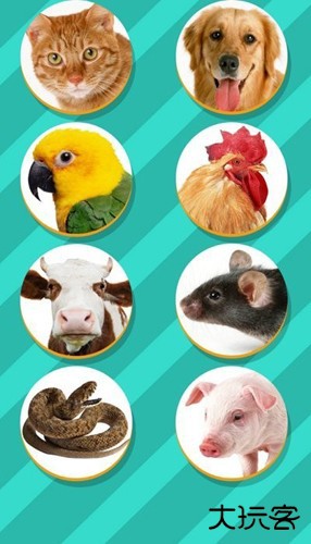 宠物翻译器下载 v1.7.0