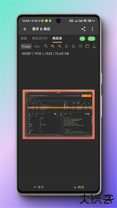 小黄鸟抓包软件下载 v2.33.12