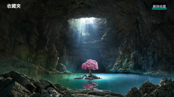 港湾影视最新版