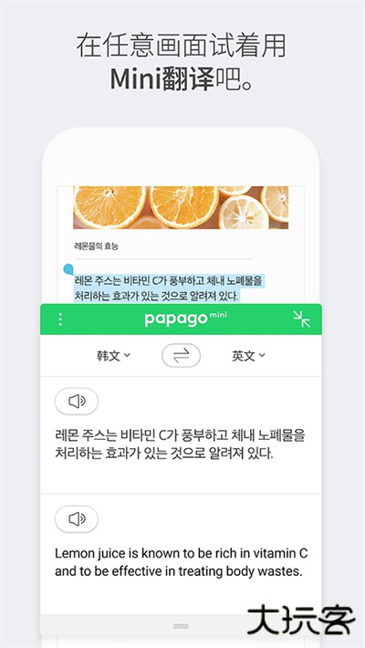 Papago中韩翻译器下载 v1.10.23