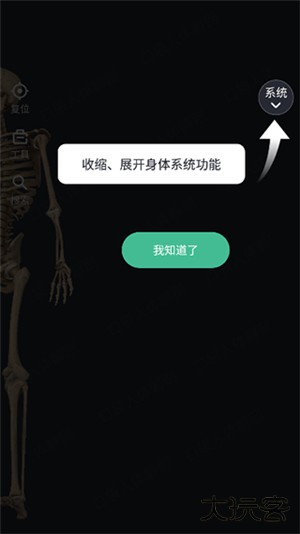 口袋人体解剖