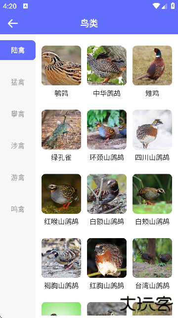 动物拍照识别app下载安装官方版本下载 v1.0.1