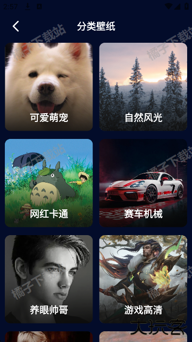 番茄动态壁纸最新版下载