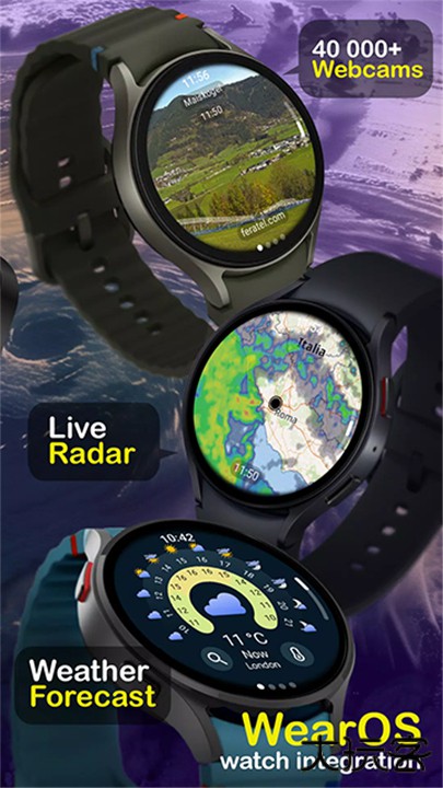 ventusky天气预报地图下载 v43.0