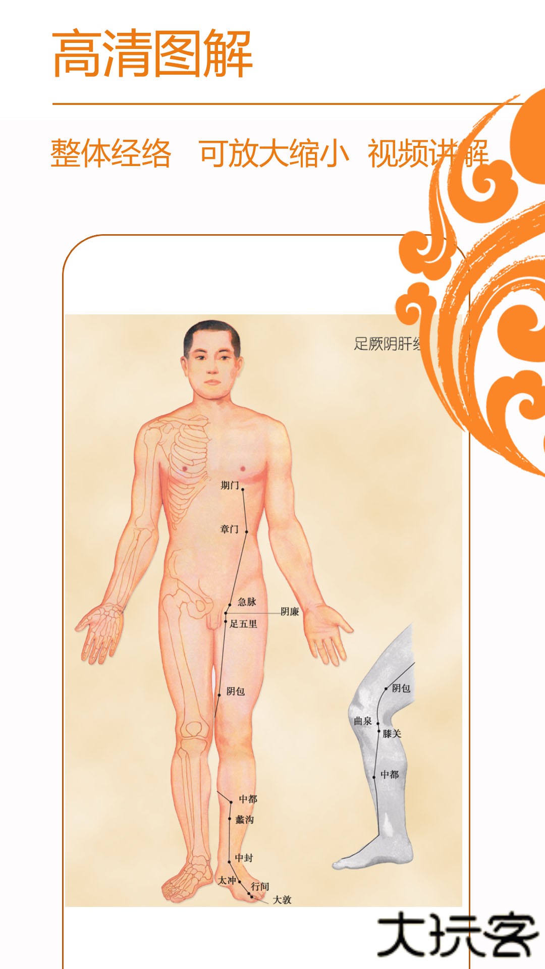 经络养生下载 v3.8.6