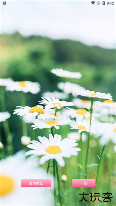 龙神壁纸手机版下载 v1.1