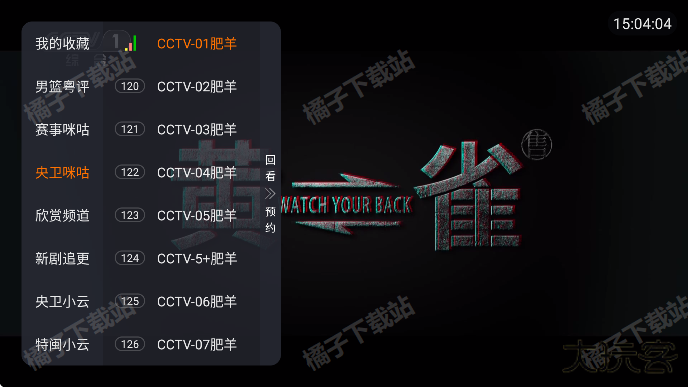 环边直播tv安卓版免费下载