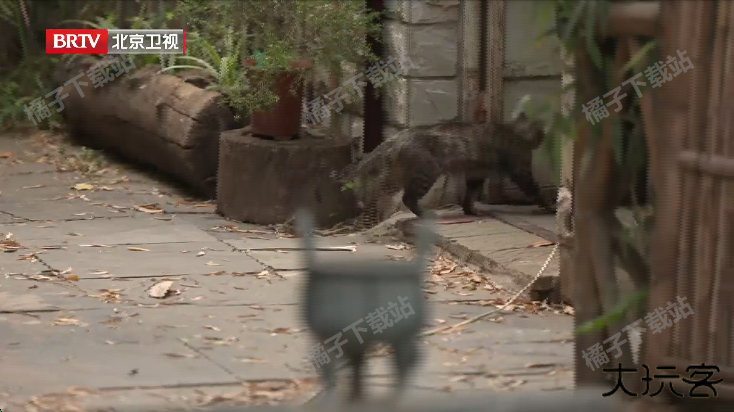 快乐影视tv版官方下载