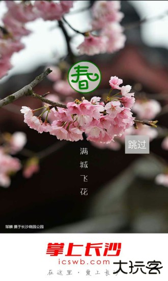 掌上长沙下载 v7.0.0.1