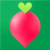 叮咚买菜安卓版下载 v11.42.2