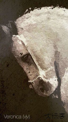 glaze油画滤镜app下载 v2.3.4