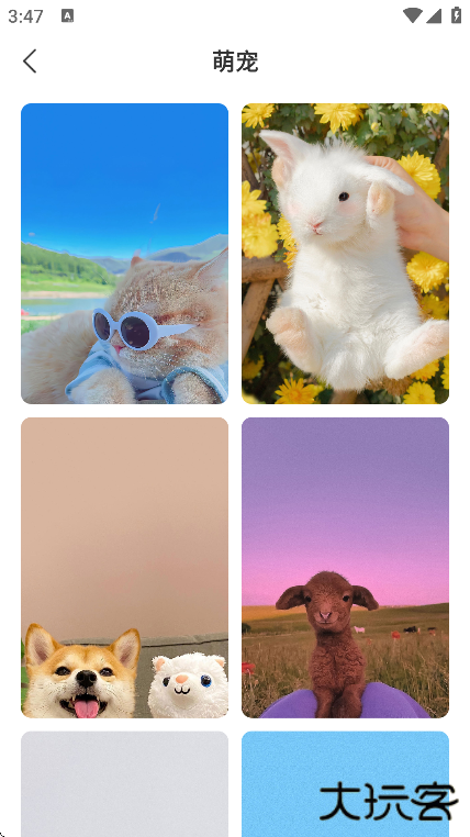 飞羽壁纸app手机版下载下载 v1.0.0