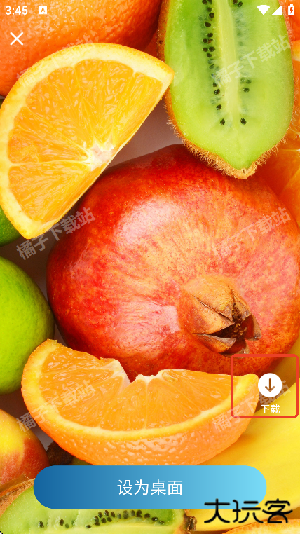 飞羽壁纸app手机版下载 飞羽壁纸app手机版下载