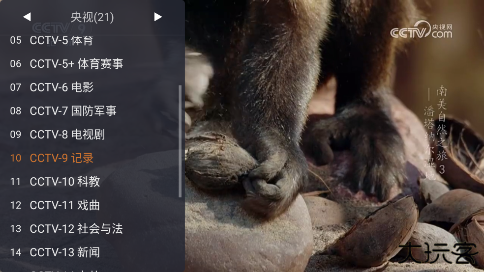 WebView电视最新版下载 WebView电视最新版下载