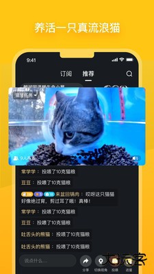 哈啰街猫下载 v1.24.0