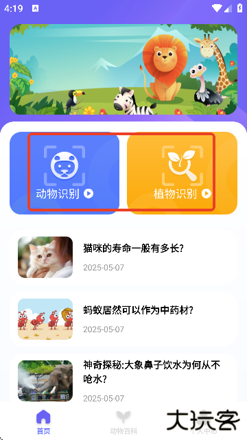 动物拍照识别app下载安装官方版本