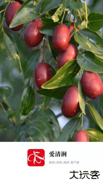 爱清涧下载 v1.0.0