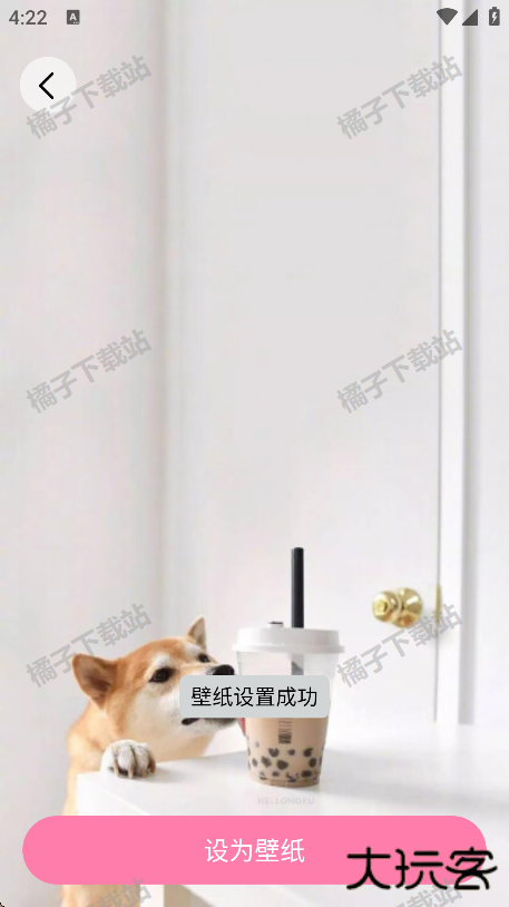 小粉世界壁纸手机版下载