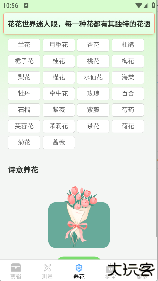 真能帮工具箱下载 v3.6.5.2