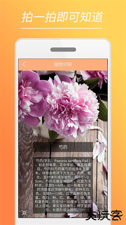 时光美图app下载 v2.1.0