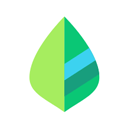 薄荷记账旧版本下载 v11.5.0