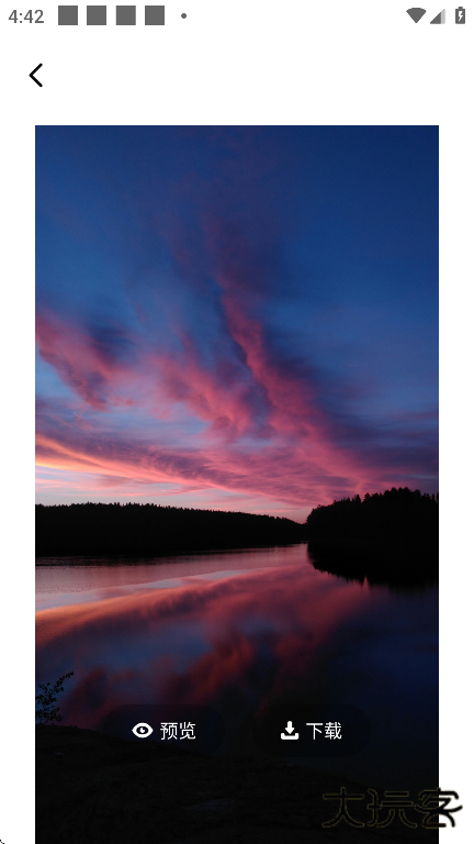 海豚壁纸app下载手机版下载 v1.1