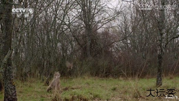 艺华测试官方版下载下载 v5.0