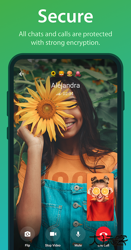 Telegram软件免费下载下载 v12.0.1