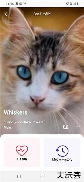 MeowTalk喵说下载 v2.4.0