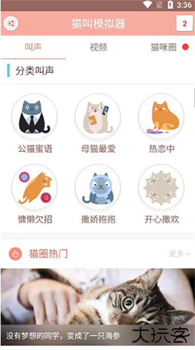 猫叫模拟器吸引猫