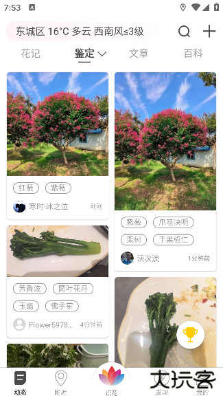 花伴侣下载拍照识花2025