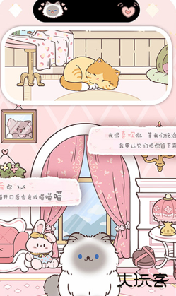 鲸鱼小组件安卓版