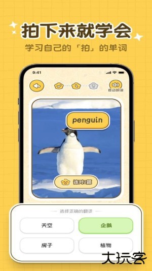 拍拍单词app