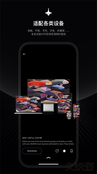 时空壁纸app手机版下载 v2.0.9